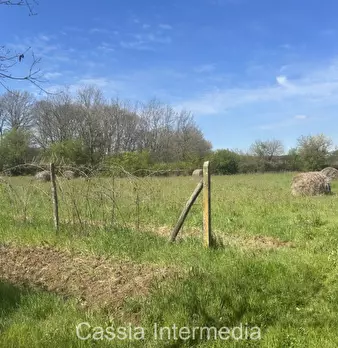Foto annuncio 48