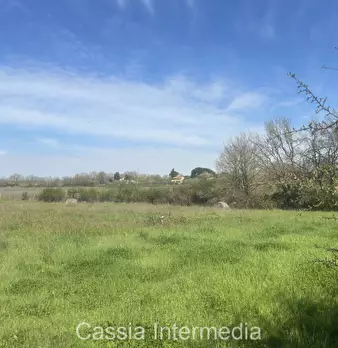Foto annuncio 49