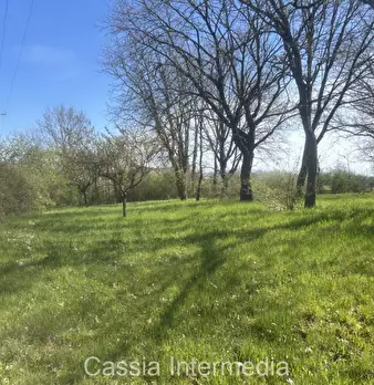 Foto annuncio 50