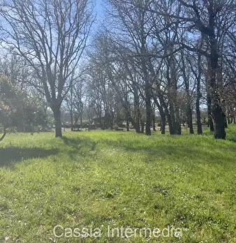 Foto annuncio 51