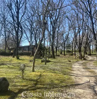 Foto annuncio 52