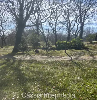 Foto annuncio 53