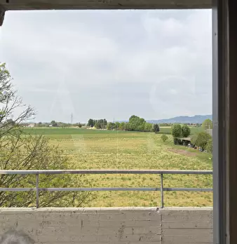 Foto annuncio 12