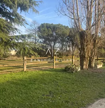 Foto annuncio 15