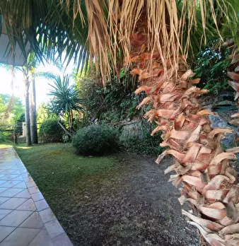 Foto annuncio 27