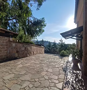 Foto annuncio 30