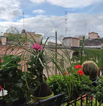 Foto annuncio 4
