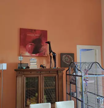 Foto annuncio 9