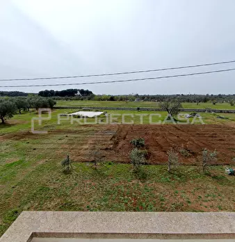 Foto annuncio 32