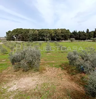 Foto annuncio 33