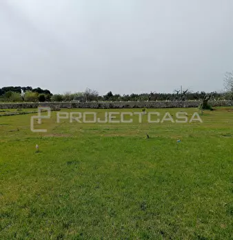 Foto annuncio 34