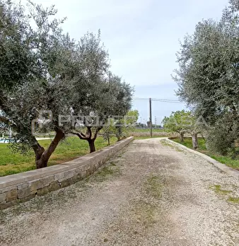 Foto annuncio 37