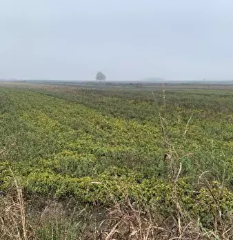 Foto annuncio 4