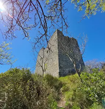 Foto annuncio 3
