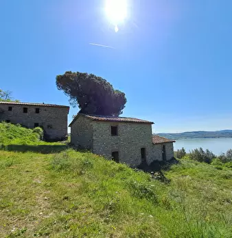 Foto annuncio 7