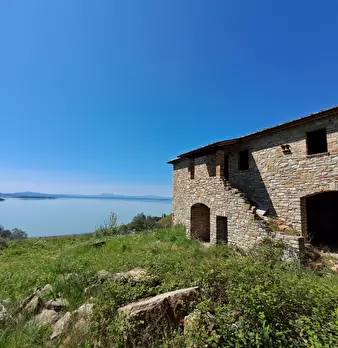 Foto annuncio 8