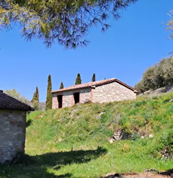 Foto annuncio 9