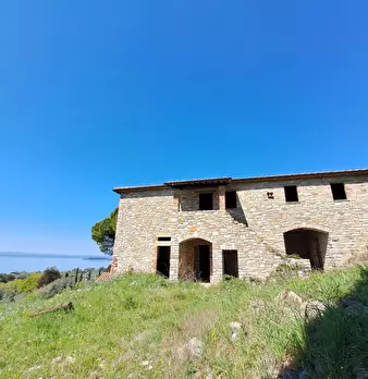Foto annuncio 10