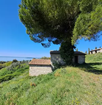 Foto annuncio 12