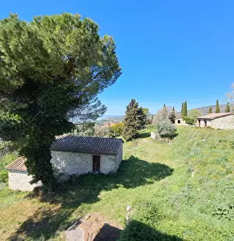 Foto annuncio 13