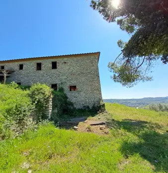 Foto annuncio 14