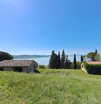 Foto annuncio 17