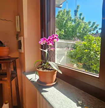 Foto annuncio 25