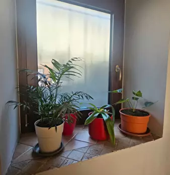 Foto annuncio 28