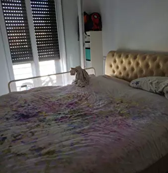 Foto annuncio 6