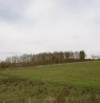 Foto annuncio 5