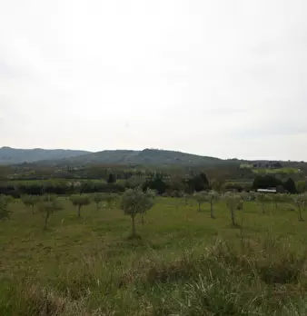 Foto annuncio 22