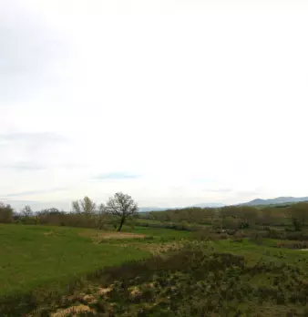 Foto annuncio 24