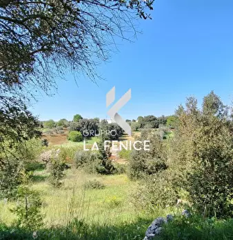 Foto annuncio 9