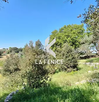 Foto annuncio 10