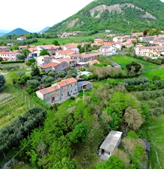 Foto annuncio 3