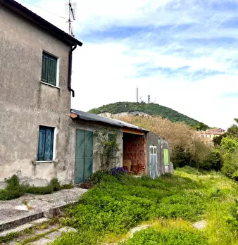 Foto annuncio 6