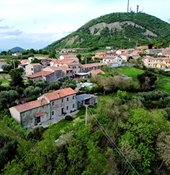 Foto annuncio 7