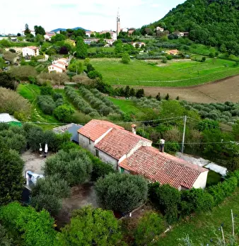 Foto annuncio 8