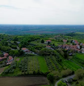 Foto annuncio 10