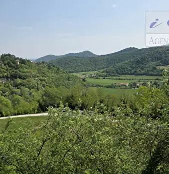 Foto annuncio 7