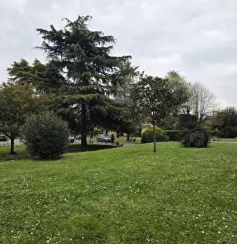 Foto annuncio 31