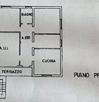 Foto annuncio 37