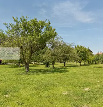 Foto annuncio 10