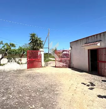 Foto annuncio 5