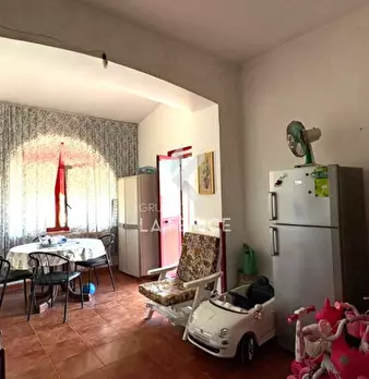 Foto annuncio 12