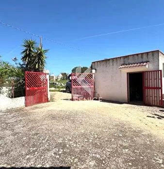 Foto annuncio 21