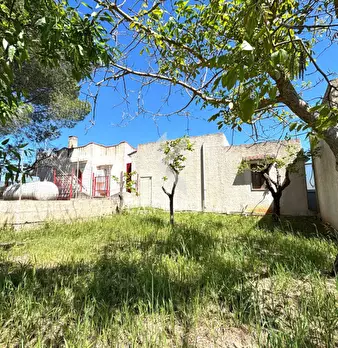 Foto annuncio 39