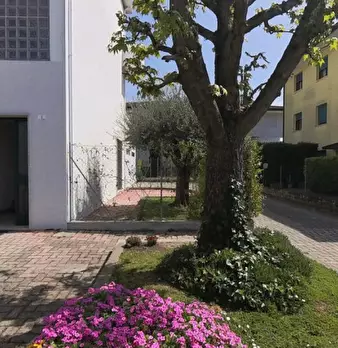 Foto annuncio 10