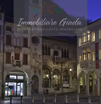 Foto annuncio 12