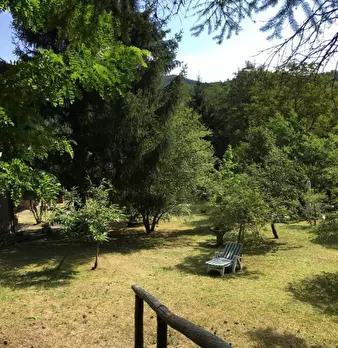 Foto annuncio 9